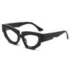 Gafas de sol de estilo nuevo, personalizadas, de moda, con forma de ojo de gato, estilo irregular, color castaño de agua, sencillas e informales, para sesiones de fotos callejeras.