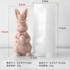 Molde para vela de coelho da Páscoa transfronteiriço, faça você mesmo, coelho de guarda, gesso para aromaterapia artesanal, ornamentos decorativos, ferramenta de moagem