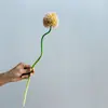 Flores Artificiais e Plantas Verdes, Flores de Cebola Falsas, Adereços Modernos Minimalistas para Sala de Estar e Casamento, Arranjos Florais