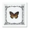 Espécime de Borboleta Real Decoração de Casa DIY Moldura de Madeira para Fotos Suprimentos de Pintura Decorativa Avançada Presente Moderno Presente Criativo