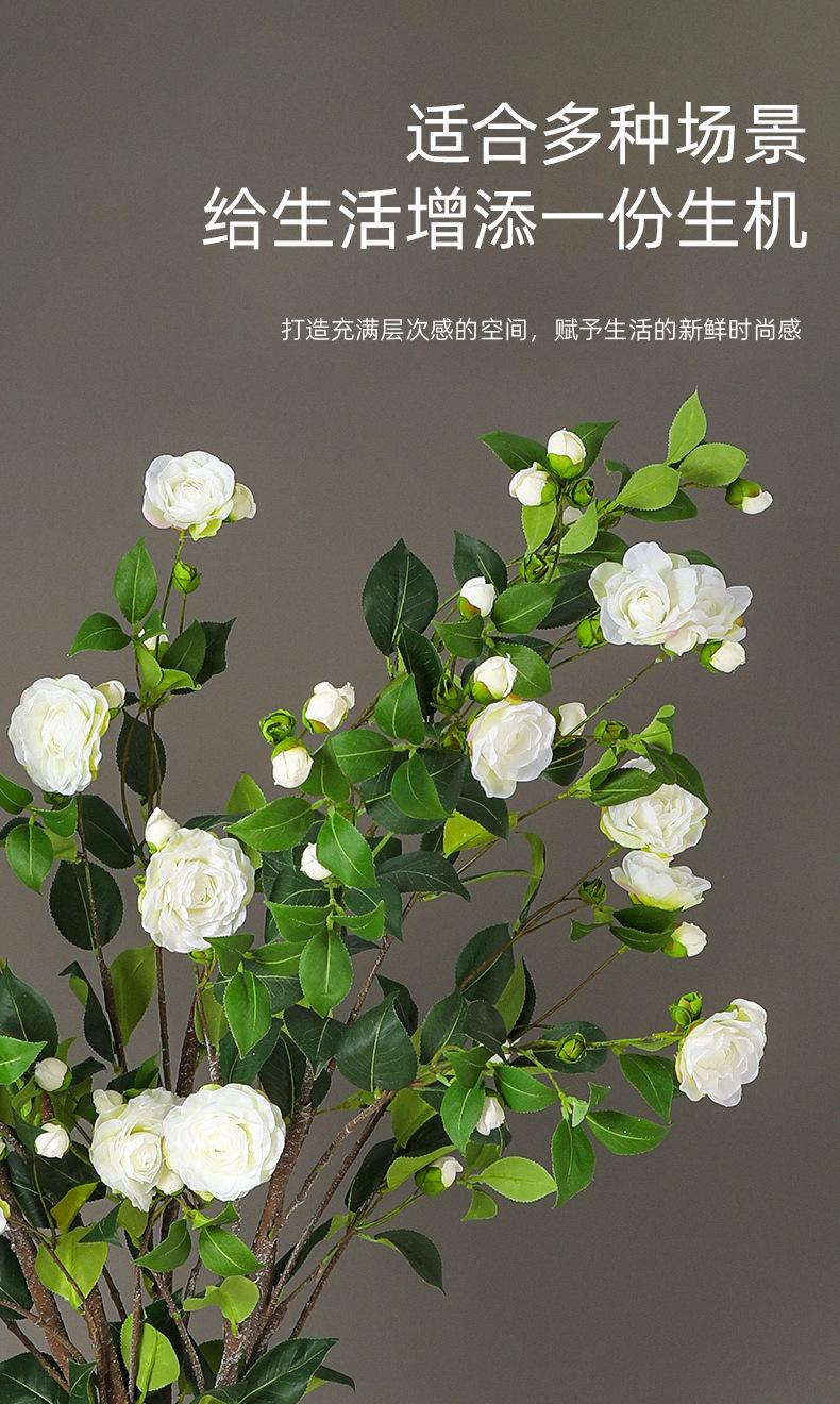 大枝茶花详情图