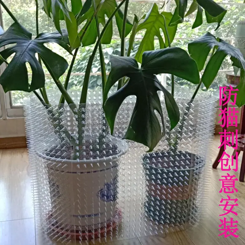 自动吸塑机