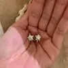 Brincos de Zircônia Estrela com Design Cintilante de Estrela de Cinco Pontas para Mulheres, Simples e Versáteis, Adequados para o Dia a Dia, Nicho, Luxo Leve, Sensação de Alta Qualidade, Presilhas de Orelha, Acessórios de Orelha