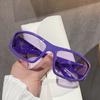 Nuevas Gafas de Sol Plateadas a Prueba de Viento Moda Europea y Americana Street Style Gafas de Hip-hop Espejo para Ciclismo Venta al por Mayor Representante