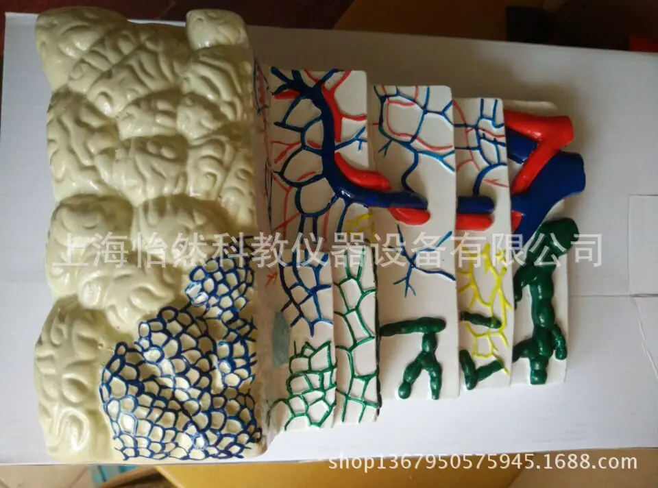 QQ图片20150426101909