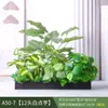 Paisagismo com Plantas Verdes Simulação Floreira Divisória de Piso Arte Floral de Chão Paisagem de Plantas Combinação de Floreira Flor Artificial em Vaso Bonsai Decoração