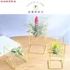 Piña de aire soporte creativo soporte de aire estante colgante nórdico planta sin tierra hierro creativo hogar pequeño