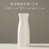 Vaso Ondulado Simples Nórdico Vaso Cerâmico Reto Arranjo de Flores Entrada de Água Ornamentos Sala de Estar Garrafa de Flores Aquáticas Hidroponia