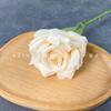 Flor Artificial Rosa Cascata Chapeuzinho Vermelho Mesma Cascata Parede de Flores Net Vermelho Cartão Arranjo de Flores Flor Artificial Flor de Seda