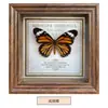 Marco de Fotos con Foto de Mariposa Real Pintura Decorativa Estilo Europeo Marco de Fotos Vintage Decoración de Mesa Adorno para Muebles Regalo de Cumpleaños Presente