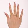 Xinyixin - Anillo ajustable con microincrustaciones de circonita y flor de cinco hojas para mujer, acero inoxidable, galvanoplastia PVD, preservación del color