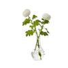 Jarrón de Vidrio de Lujo Accesible Escandinavo Jarrón de Flores Hidropónico Simple Mesa de Comedor Hogar Pequeños Adornos Decorativos de Flores Secas Frescas