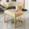 Silla Sofá de Lujo Sencillo para el Hogar Silla de Ocio para Apartamento Pequeño Sala de Estar Sofá Individual Tocador de Dormitorio Silla de Maquillaje