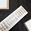 Puntas de Uñas Artísticas Simples Transparentes Estilo Ojo de Gato Anchas Tiras Pre-hechas 30 Piezas Por Tamaño Uñas Portátiles Fábrica Directa Personalización