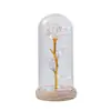 Flor Eterna Rosa Folha de Ouro Transfronteiriça Luminária Noturna Presente Dia das Mães Dia dos Namorados Decoração Criativa de Mesa Lâmpada de Ambiente