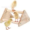 Percha de madera para pollos, trípode, segura y estable