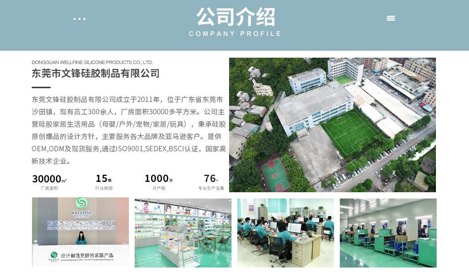 7.公司简介