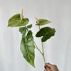 Simulación de Nuevo Producto Transfronterizo 2 Anthurium Decoración del Hogar Maceta Sala de Hotel Sala Modelo Arreglo Floral Decoración Flores Hechas a Mano