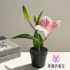 Bonsai de Flor de Lírio Artificial, Flor Falsa para Decoração de Mesa de Sala de Estar e Estudo, Planta Artificial em Vaso, Flor Falsa, Dropshipping Disponível