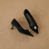 Yuanlitong 2025 Nuevos Zapatos de Tacón Alto de Otoño para Mujer, Zapatos de Tacón de Aguja de Gama Alta, Calzado de Exterior para Mujer, Zapatos de Punta Fina para Mujer