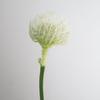 Flores Artificiais, Flores Agulha Cauda de Fênix Tropical Sul-Africana para Almofada, Ornamentos de Decoração para Mesa de Sala de Jantar, Adereços para Fotografia, Flores Artificiais, Arte Floral Artificial