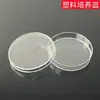 Ferramentas para Fazer Lâminas Biológicas Temporárias, Solução de Iodo para Experimentos Biológicos, Papel Absorvente para Coloração de Lâminas, Lamínulas