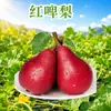 Peras Vermelhas de Shaanxi, envio direto 3/5/ 4,5kg Peras vermelhas Kaimisi, caixa de presente de peras ocidentais, embalagem colorida, fruta fresca