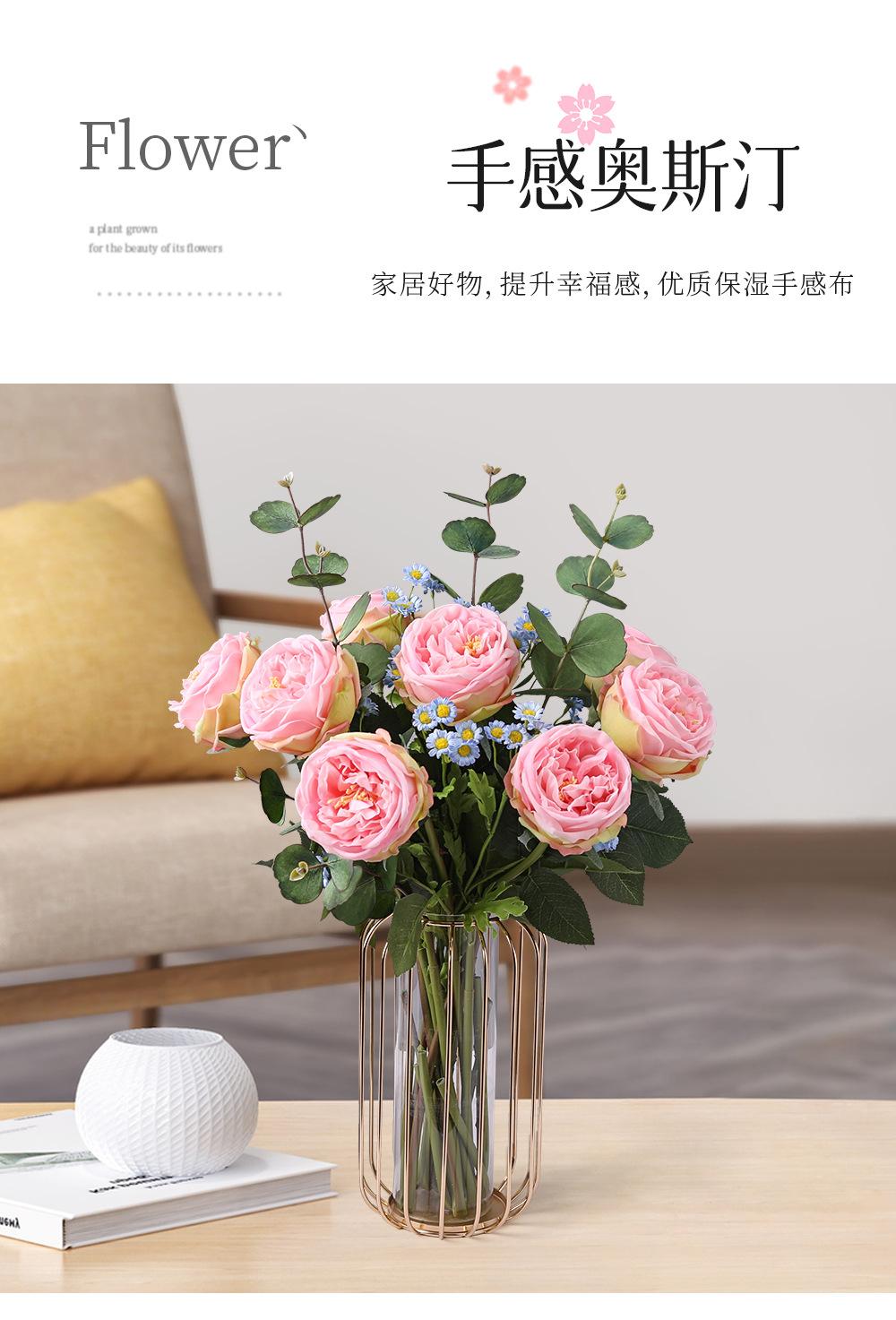 详情_01.jpg