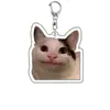 Linda idea de regalo de expresión de gatito acrílico, llavero colgante divertido para mascotas transfronterizo, recuerdo de perro