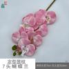 Padrão de modelagem 7 cabeça Phalaenopsis cola sentir Phalaenopsis estúdio fotográfico adereços flor de simulação janela bonita Chen