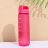 Vaso de Plástico Esmerilado Personalizado de Alta Calidad Transfronterizo con Tapa Portátil de Cierre Rápido, Botella de Agua Simple Anticaídas para Niñas y Estudiantes