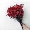 Buquê de Grama de Cristal Eterno de Yunnan Materiais para Fazer Presente de Dia dos Namorados Flores de Cristal Eterno Atacado Multicor