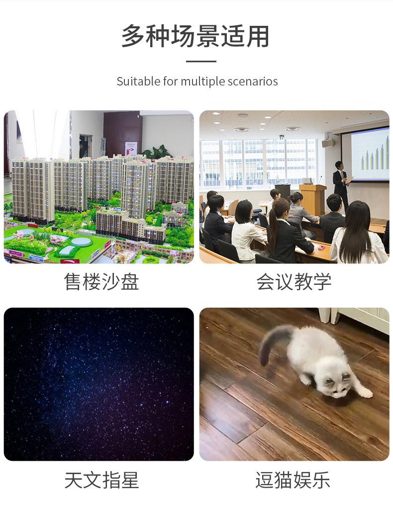 USB充电303激光手电