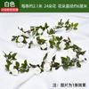 Enredaderas de Rosas, Rosas Trepadoras, Decoraciones para Calefacción Interior, Enredaderas de Flores para Cubrir Paredes, Plantas Verdes