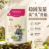Champú Preventivo de Caída de Cabello Postparto, Antirotura, Voluminizador, Control de Grasa, Champú Nutritivo para Cabello Negro, Venta al por Mayor del Fabricante