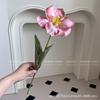 Tulipa Aberta Única Tulipa Aberta Casamento Casamento Auditório Embelezado com Arranjo de Flores Engenharia Externa Flores Artificiais Flores Decorativas