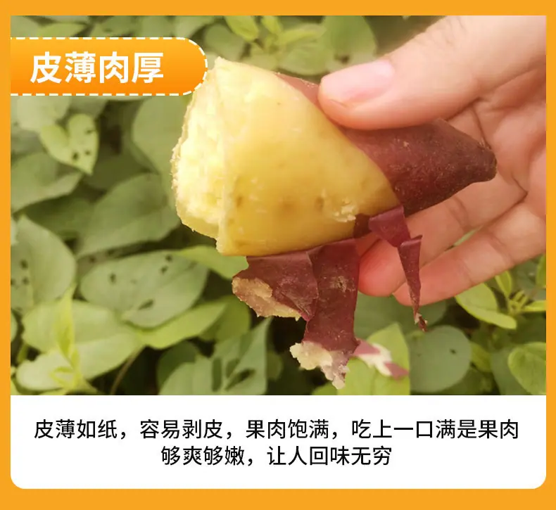 详情790_07.jpg