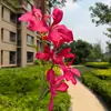 [Orquídea de Fuego] Decoración de Boda, Arreglo Floral de Mesa para Sala de Estar, Pared de Flores, Accesorios para Fotografía, Flores Artificiales al por Mayor