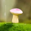 Musgo Micro-Paisaje Creativo Fantasía Pequeños Hongos Bonsái Jardinería DIY Paisajismo Decoración Accesorios Pequeños Adornos