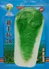 Semillas de Verduras Variadas para Otoño e Invierno, Semillas de Col China, Plántulas con Alta Tasa de Germinación, Nuevas Variedades de Colza Empresas Mayoristas
