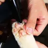 Cortapelos para Gatos Empujador de Pelo de Patas Fader Eléctrico Silencioso Recorte de Pelo Perro Pelo Mascota Afeitado Mascota Afeitado Eléctrico