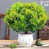 Planta Milan Flower Pote com Flores e Plantas Verdes Interior Antiga com Botões Florescendo em Todas as Estações e Fácil de Cultivar Mudas para Varanda
