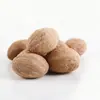 Coleção Completa de Especiarias e Temperos: Anis Estrelado, Anis Grande, Pimenta de Sichuan, Canela, Mistura de Treze Especiarias para Carnes Ensopadas, Temperos para Hot Pot, Atacado de Temperos Domésticos