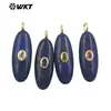 Wt-P2073 Oval Geométrico Redondo de Textura Lisa Lápiz Lazuli Ojo de Tigre Piedra Zirconia de Colores Piedra Incrustada Colgante