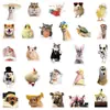 50 pegatinas realistas de expresiones de animales para decorar laptops, guitarras, botellas de agua, cuadernos y diarios, impermeables