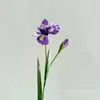 Alicia Artificial, Toque Hidratante, Lirio Irlandés, Fábrica Mayorista de Fuentes de Flores Artificiales Decoración Suave Combinación