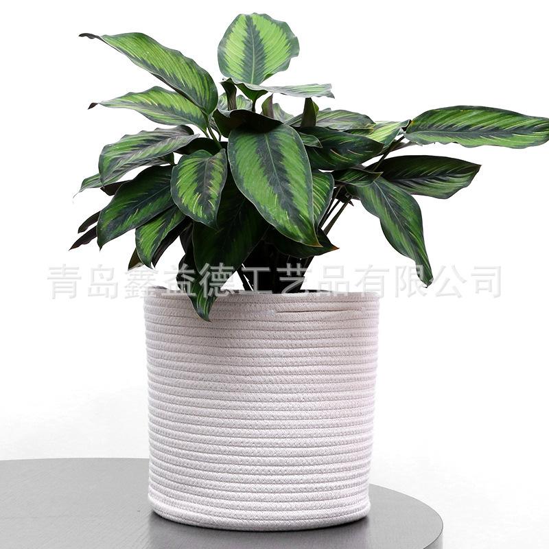 植物棉线筐