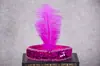 Acessórios de cabelo femininos de performance em estoque 1 tiara de pena de avestruz tiara de pena com lantejoulas e diamantes HEADCASS Indiano de pena