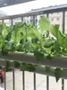 Cestas de Plantio para Vegetais Hidropônicos, Dispositivo de Fixação de Raízes, Equipamento de Cultivo Sem Solo, Bandejas de Plantio, Copos de Plantio, Copos para Cultivo de Vegetais em Varanda