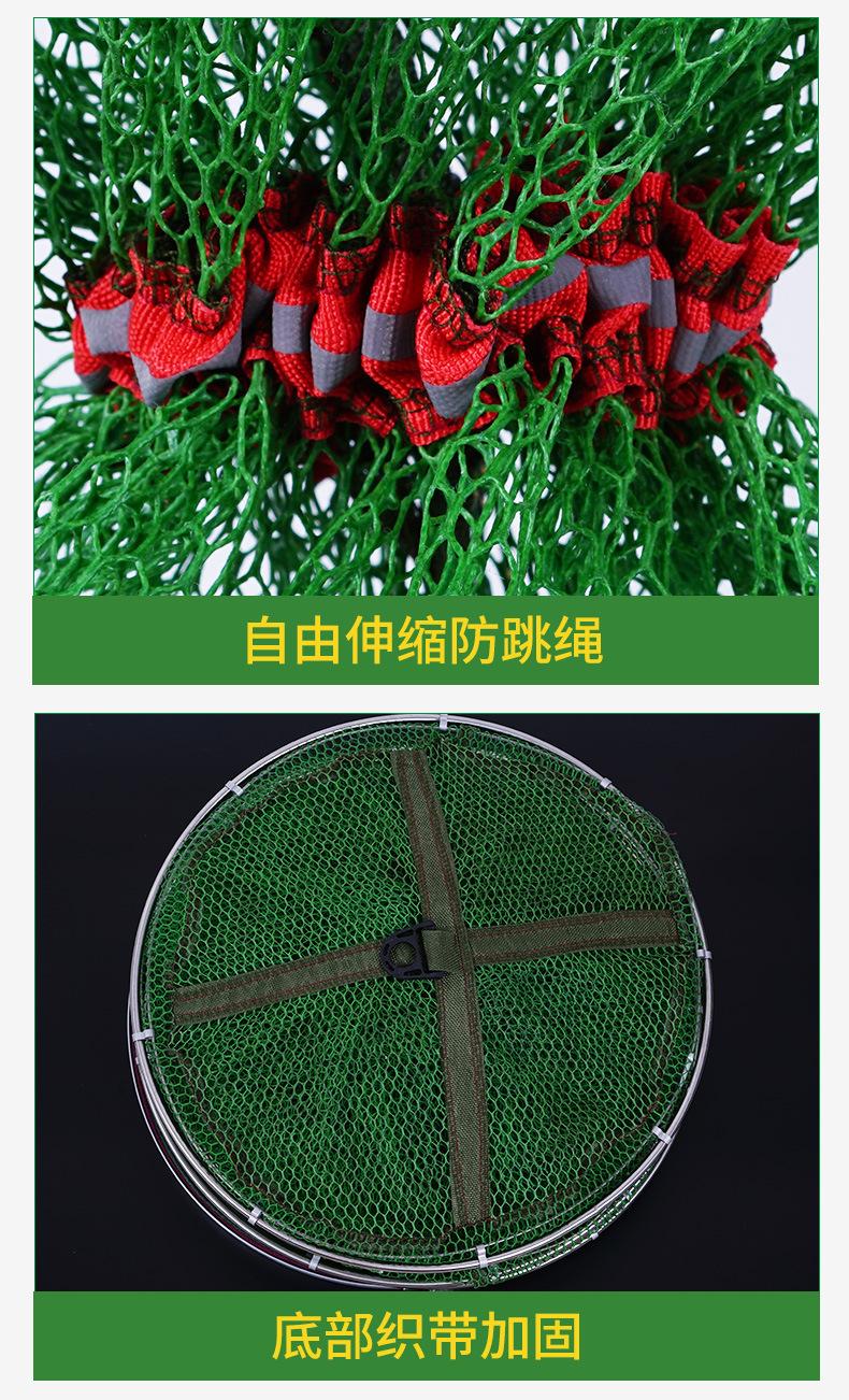 鱼护_08.jpg